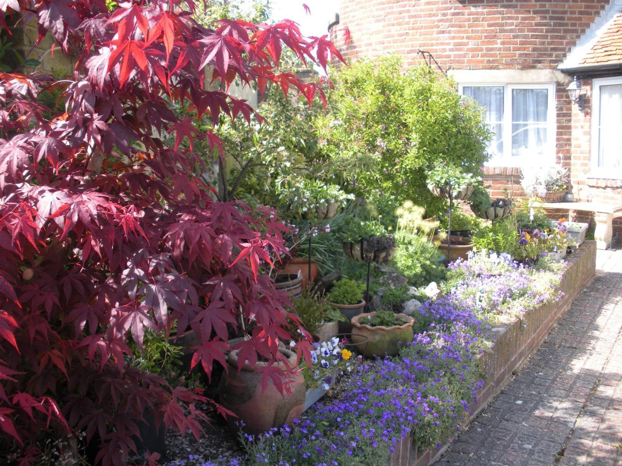 윈첼시 Manor Farm Oast B&B 외부 사진